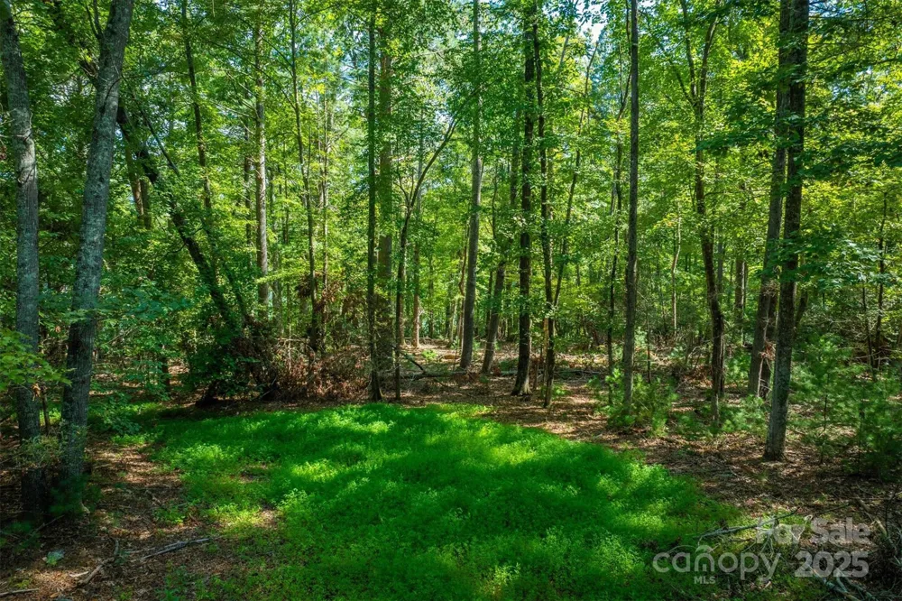 2205 Black Forest Drive #28 Marion, NC 28752