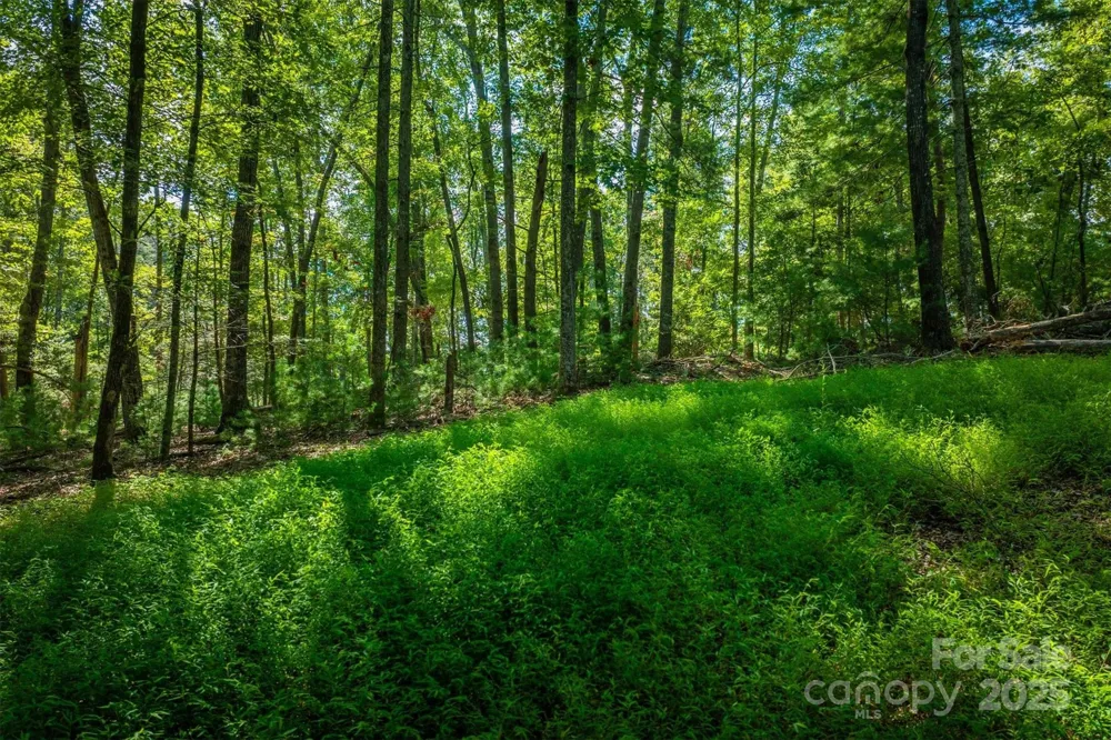 2205 Black Forest Drive #28 Marion, NC 28752