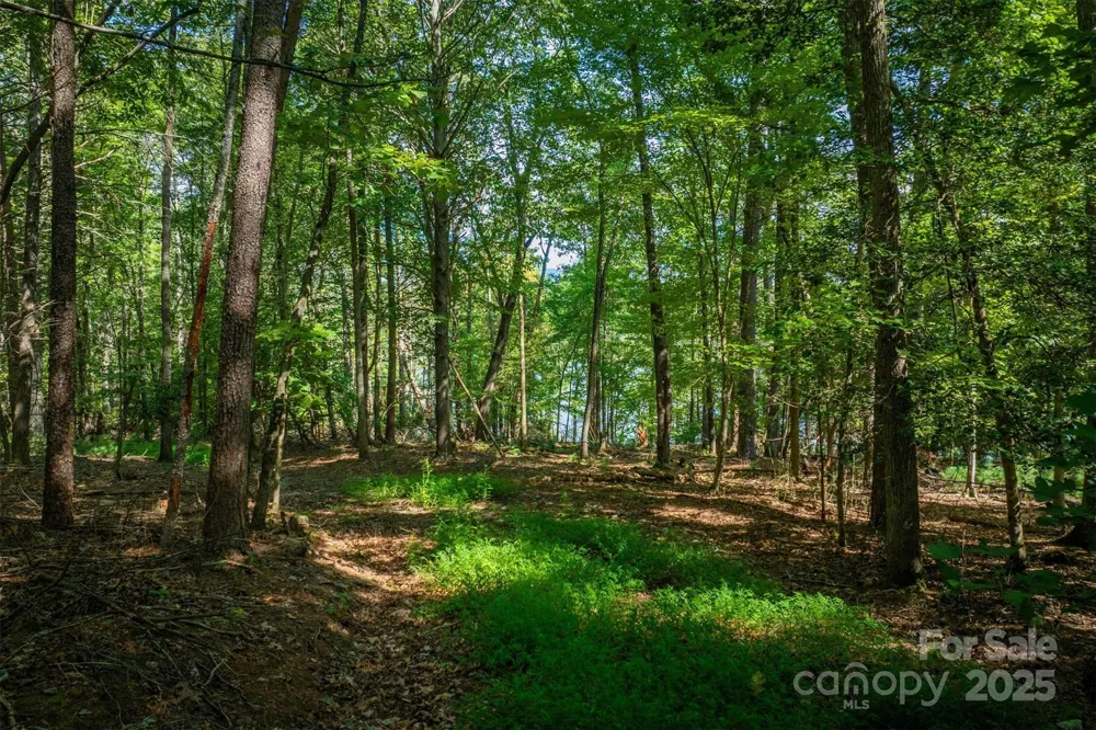 2205 Black Forest Drive #28 Marion, NC 28752
