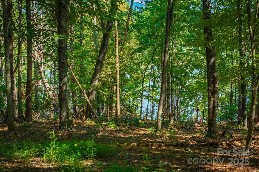 2205 Black Forest Drive #28 Marion, NC 28752
