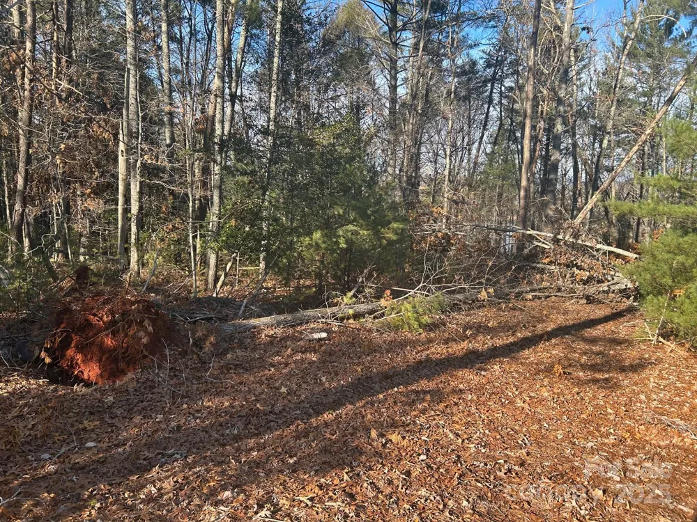 2205 Black Forest Drive #28 Marion, NC 28752