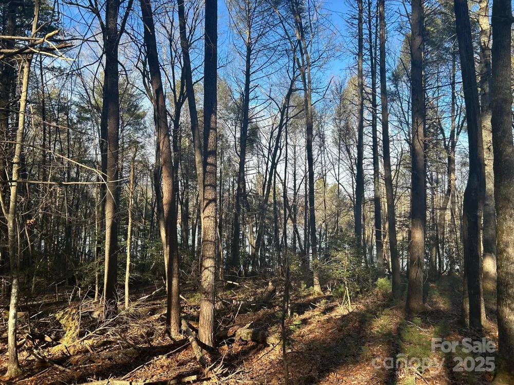 2205 Black Forest Drive #28 Marion, NC 28752