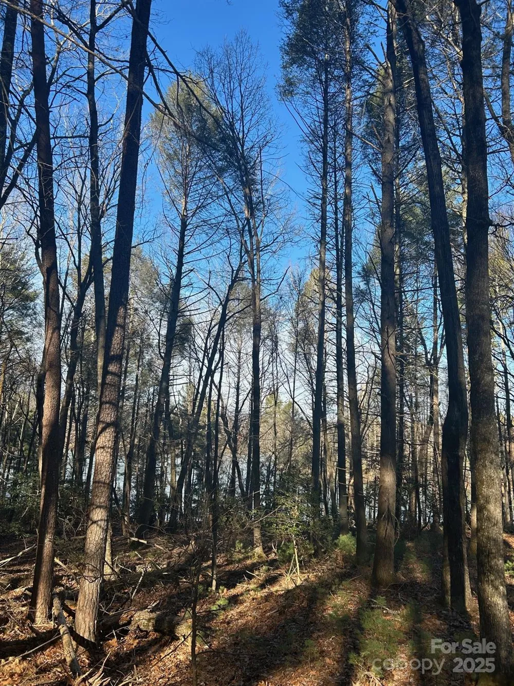 2205 Black Forest Drive #28 Marion, NC 28752