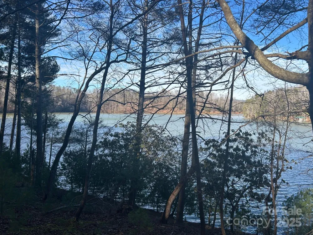 2205 Black Forest Drive #28 Marion, NC 28752
