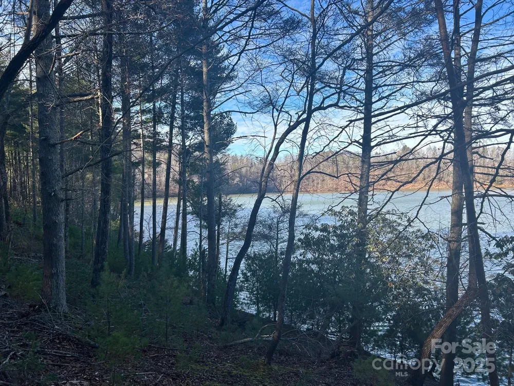 2205 Black Forest Drive #28 Marion, NC 28752