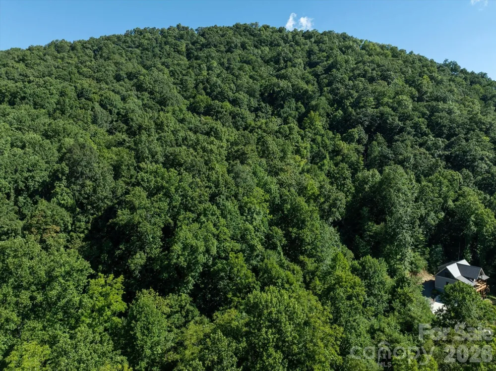 99999 Spy Rock Road Maggie Valley, NC 28751