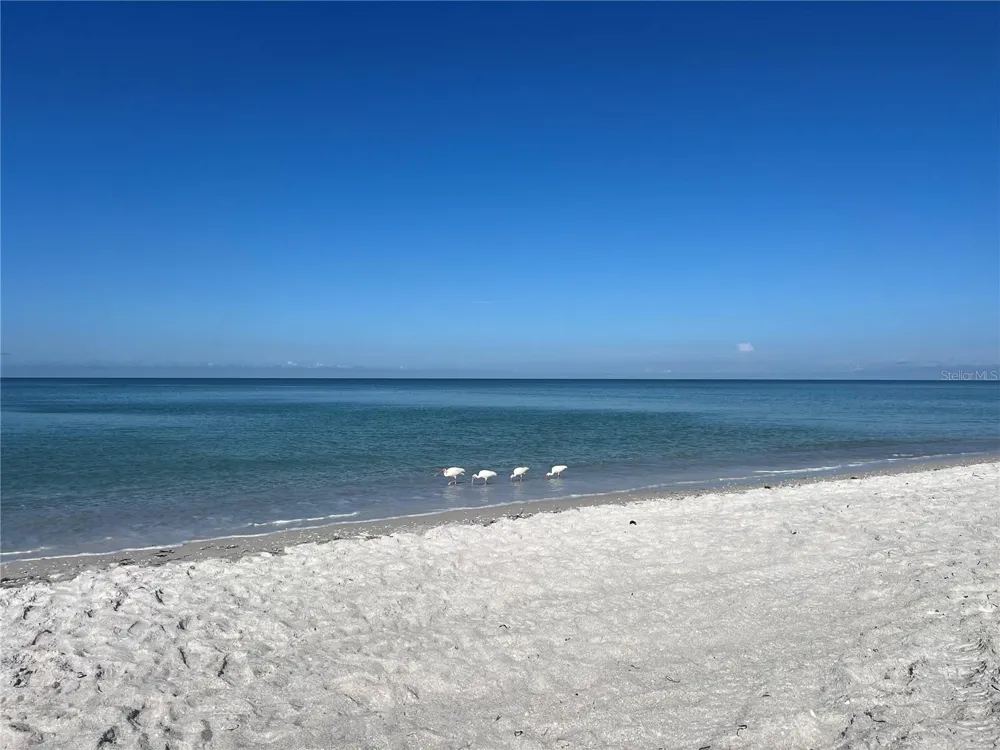 2425 GULF OF MEXICO DRIVE #11F Longboat Key, FL 34228