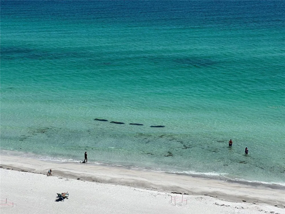 2425 GULF OF MEXICO DRIVE #11F Longboat Key, FL 34228