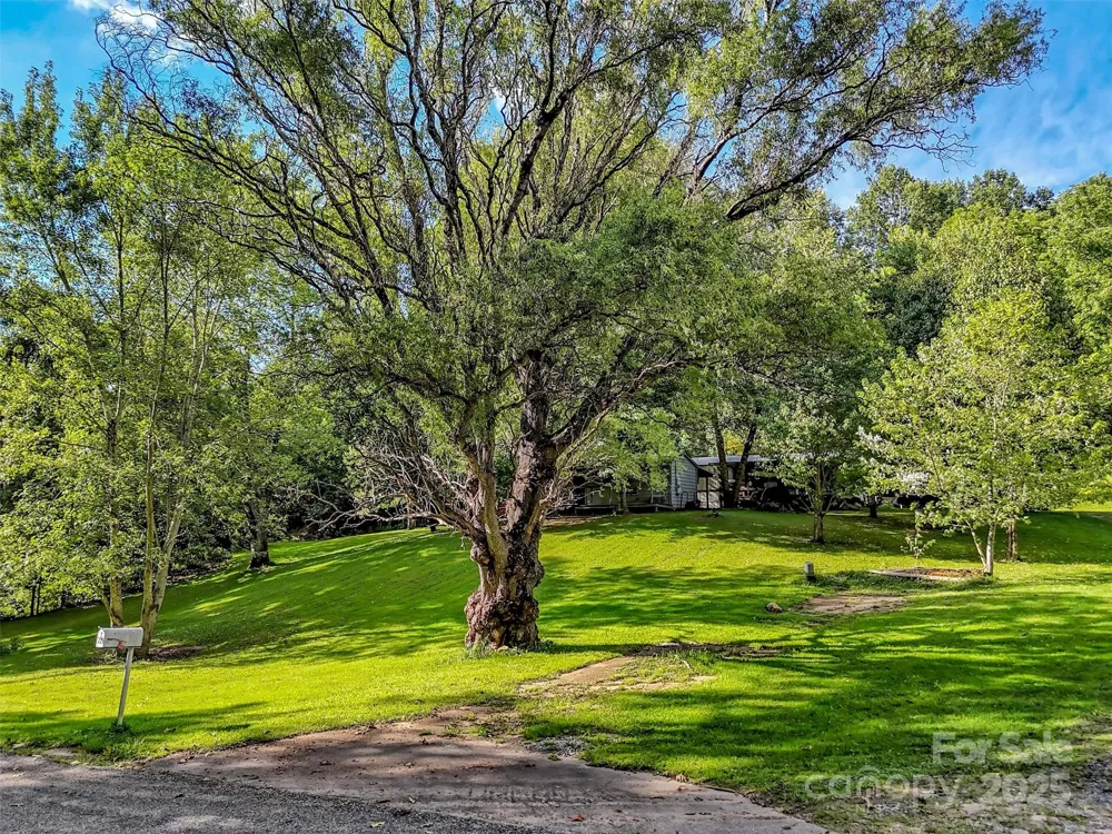 323 Jody Cove Canton, NC 28716