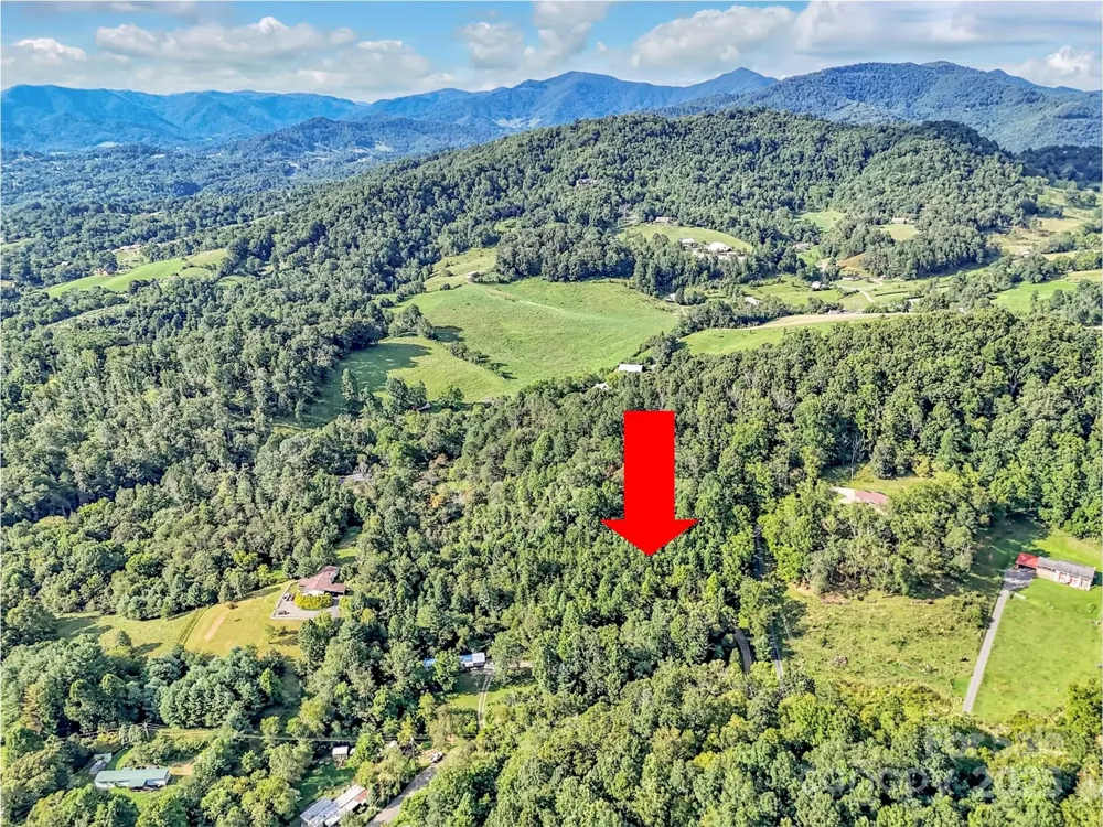 323 Jody Cove Canton, NC 28716