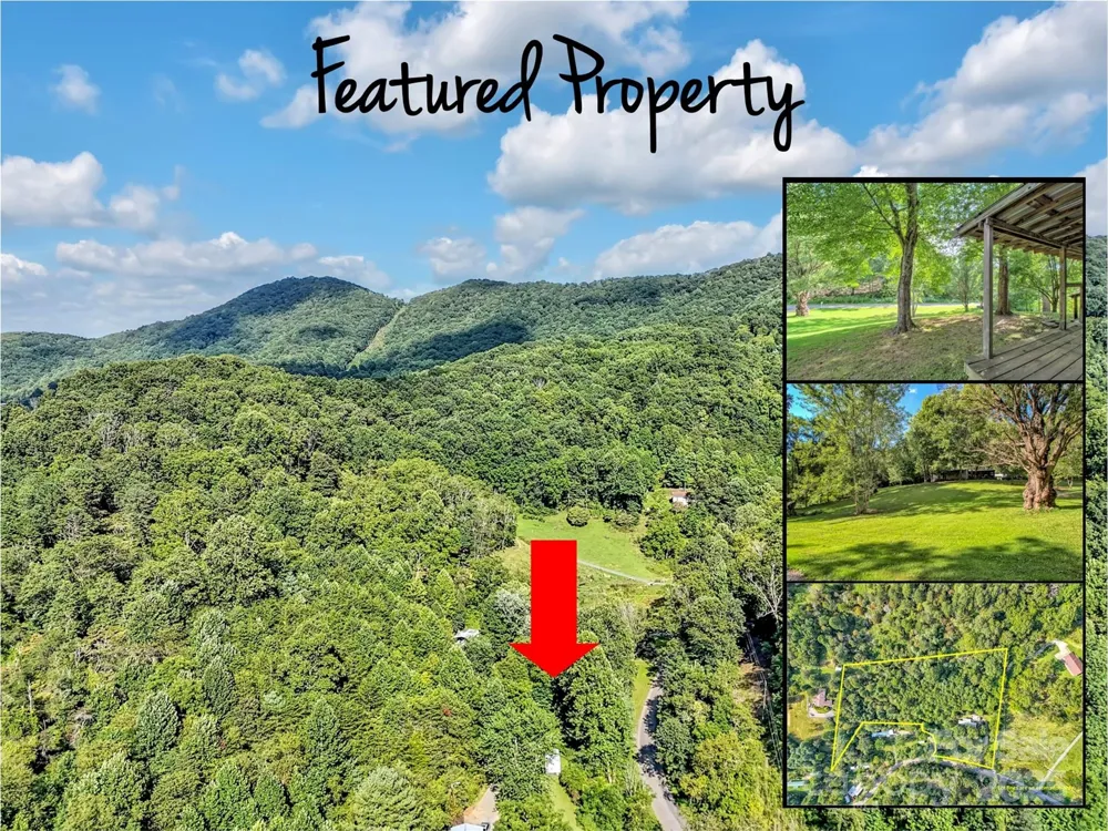 323 Jody Cove Canton, NC 28716