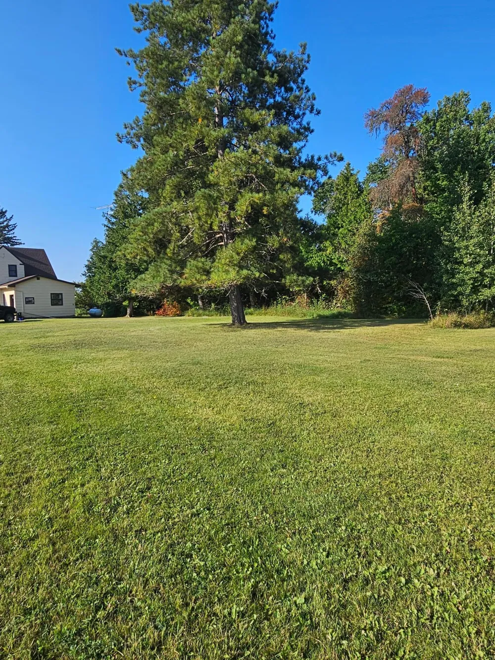 6402 Krull Street Williams, MN 56686