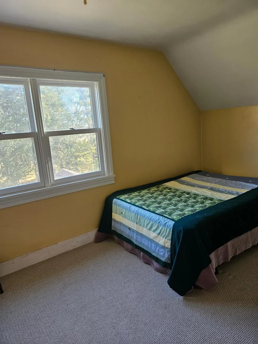 6402 Krull Street Williams, MN 56686