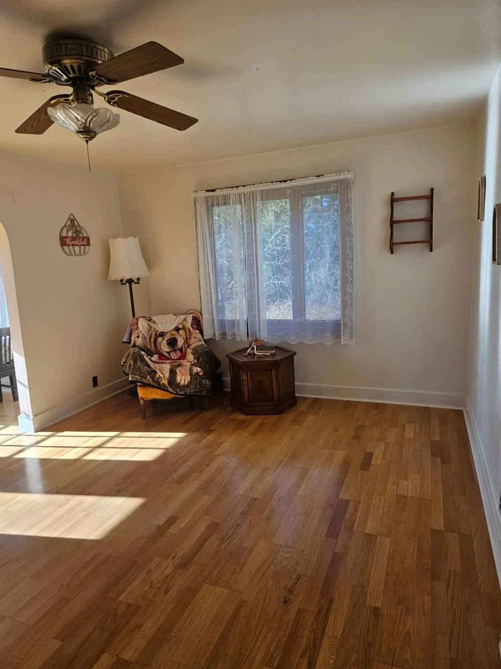 6402 Krull Street Williams, MN 56686