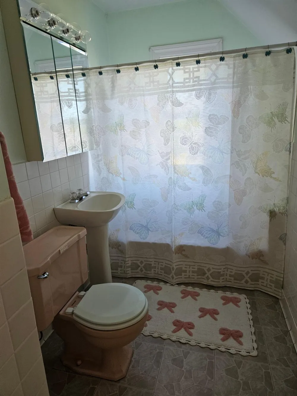6402 Krull Street Williams, MN 56686