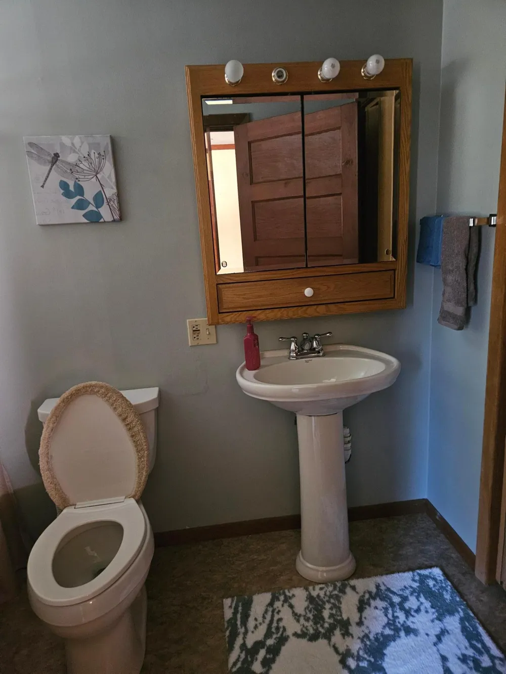 6402 Krull Street Williams, MN 56686