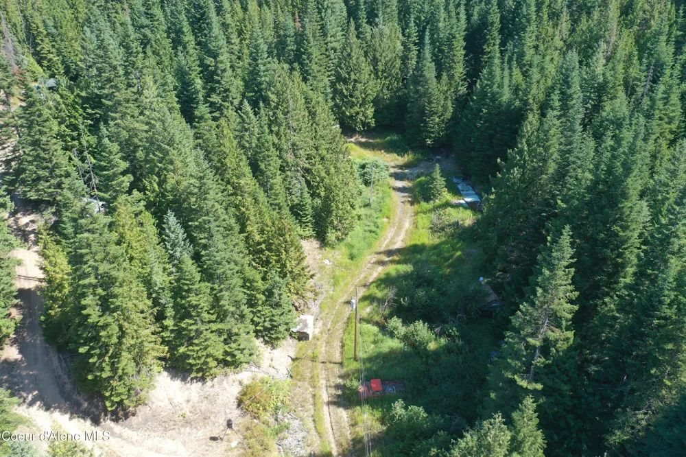 1742 Dusty Ln St. Maries, ID 83861