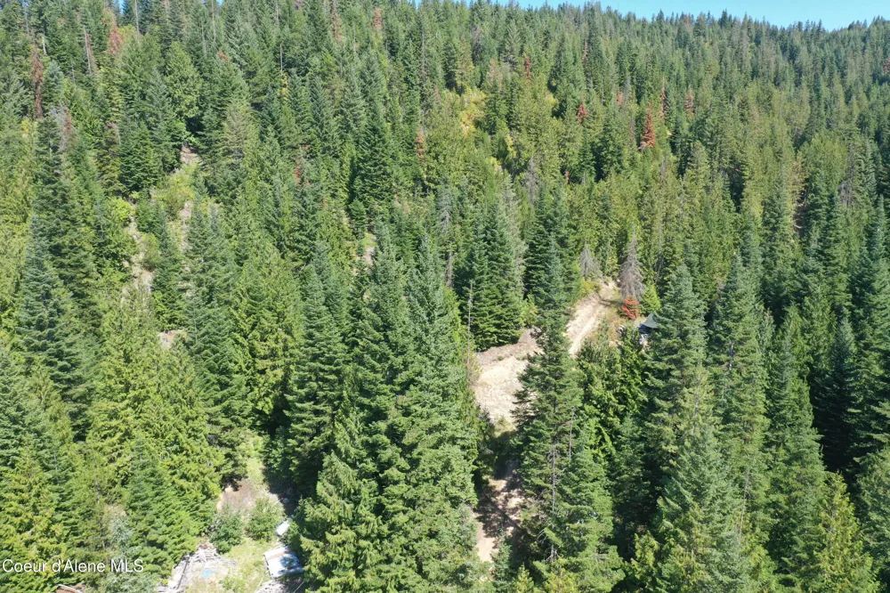 1742 Dusty Ln St. Maries, ID 83861