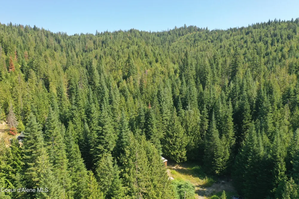 1742 Dusty Ln St. Maries, ID 83861
