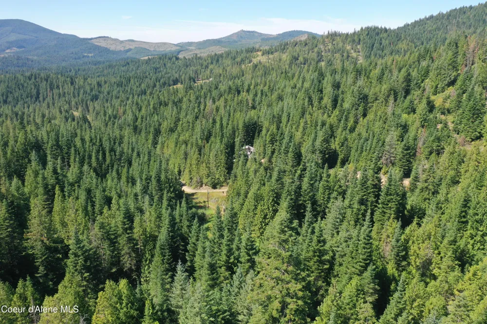 1742 Dusty Ln St. Maries, ID 83861