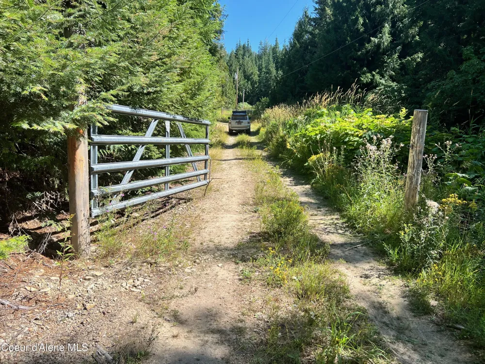 1742 Dusty Ln St. Maries, ID 83861