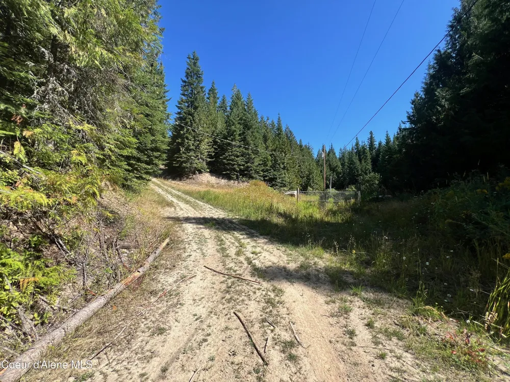 1742 Dusty Ln St. Maries, ID 83861