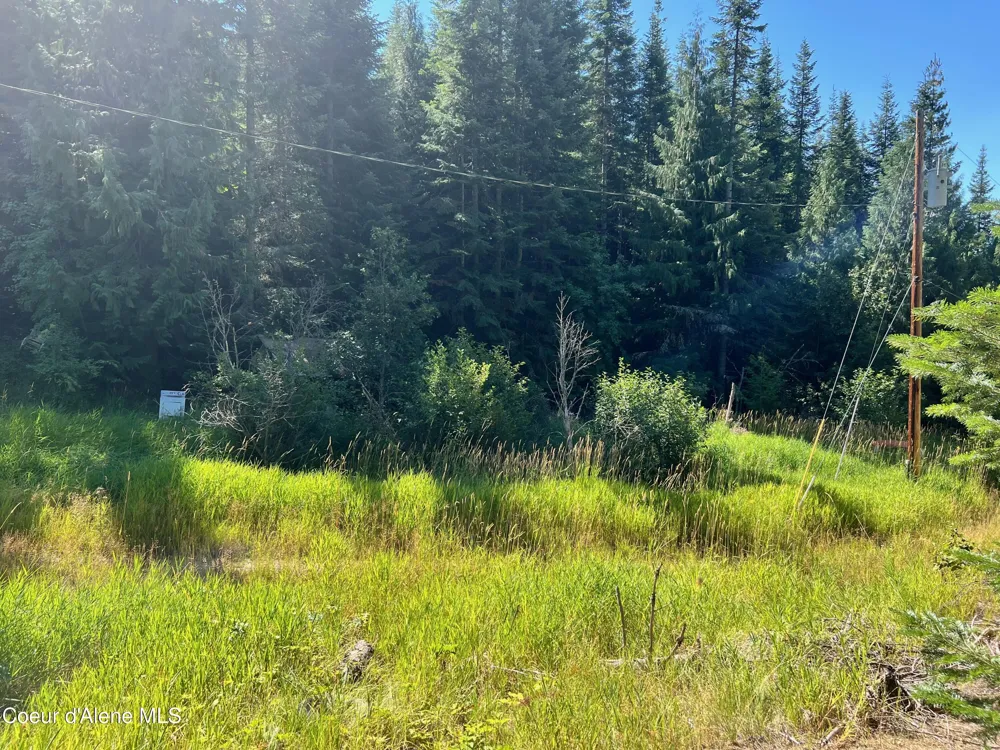 1742 Dusty Ln St. Maries, ID 83861