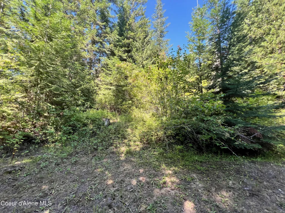 1742 Dusty Ln St. Maries, ID 83861