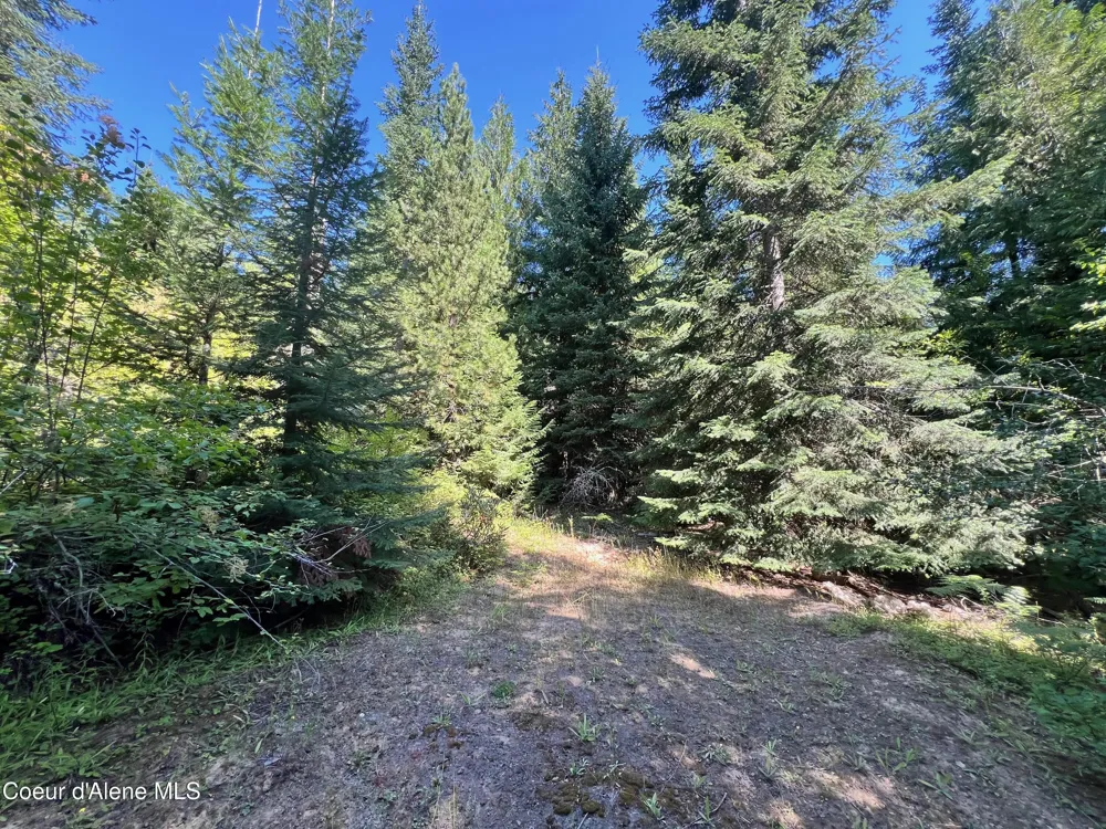 1742 Dusty Ln St. Maries, ID 83861