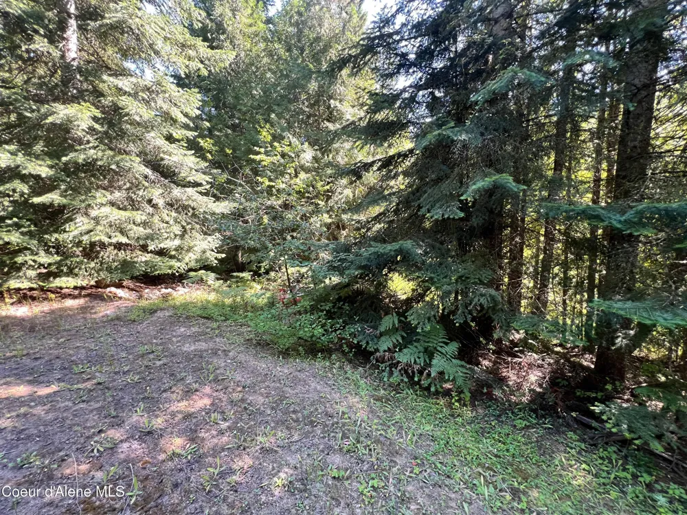 1742 Dusty Ln St. Maries, ID 83861