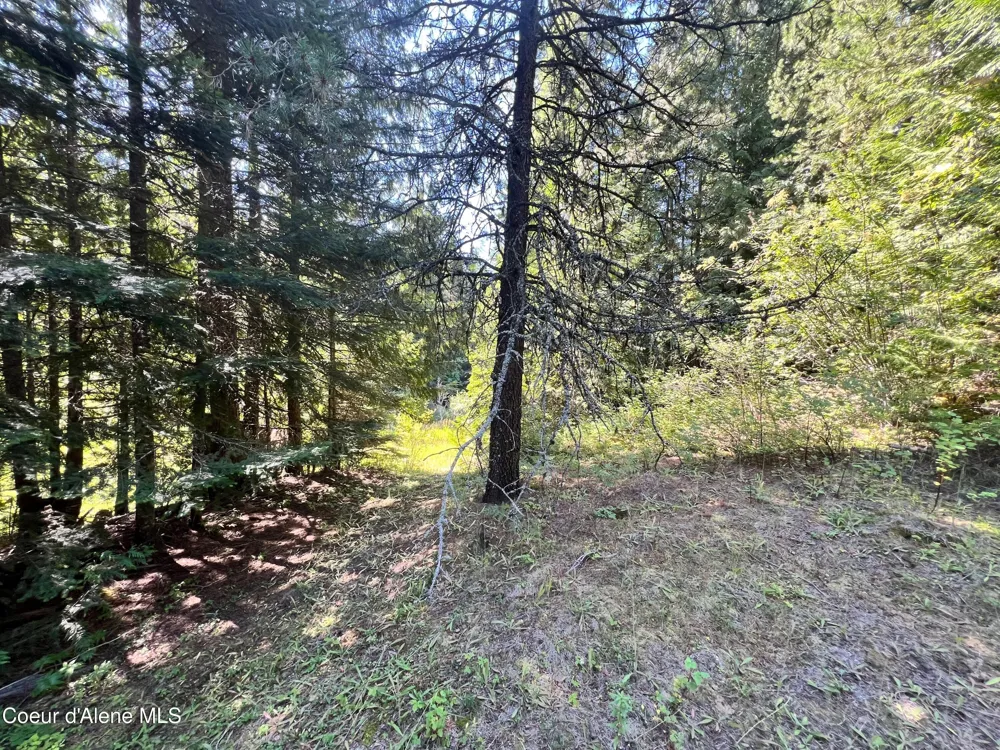 1742 Dusty Ln St. Maries, ID 83861