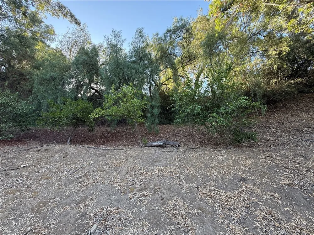 2240 Valle Drive La Habra Heights, CA 90631