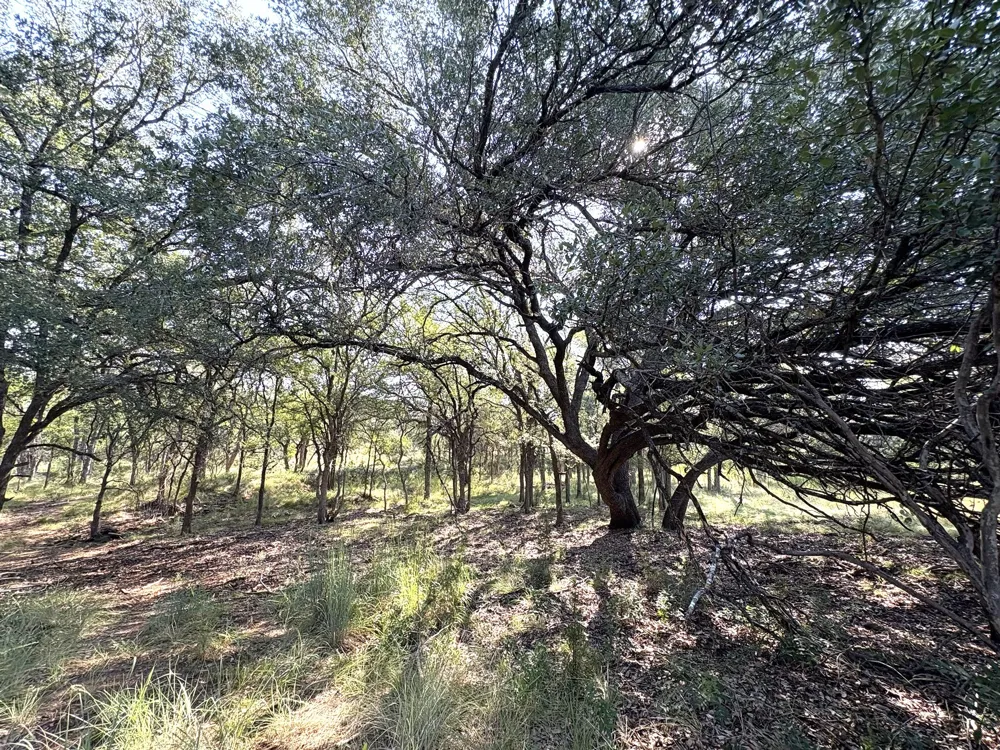 3 Sandy Mountain Sunrise Beach, TX 78643
