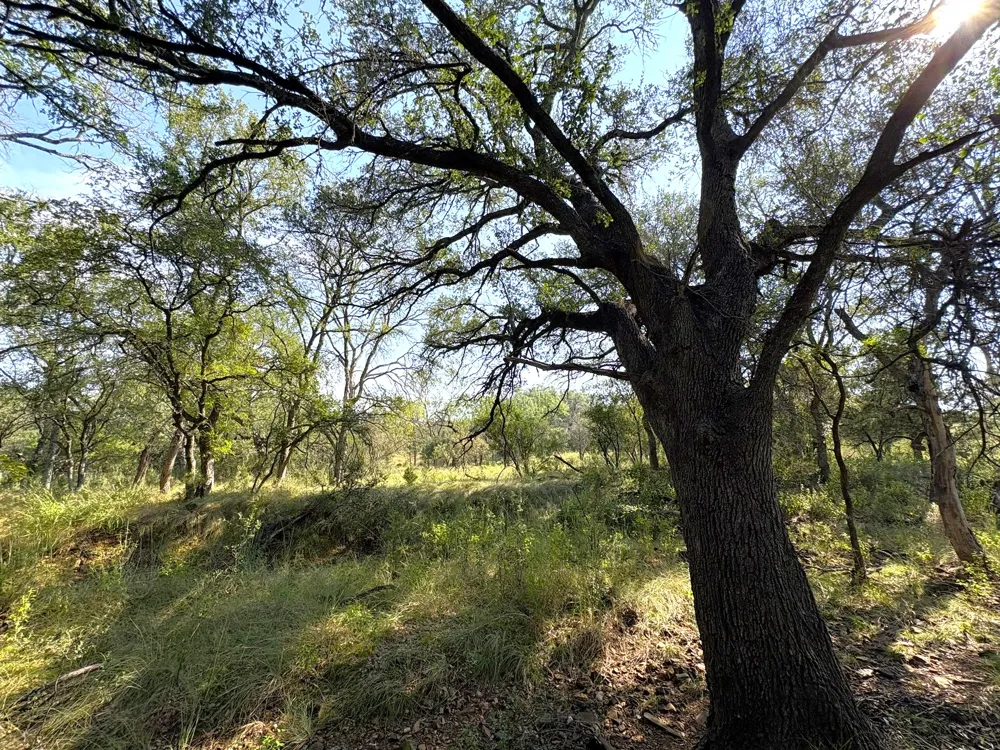 3 Sandy Mountain Sunrise Beach, TX 78643