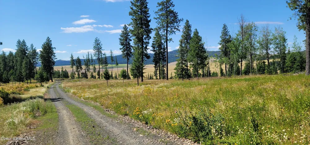 Hwy 95 Lot 6 Plummer, ID 83851