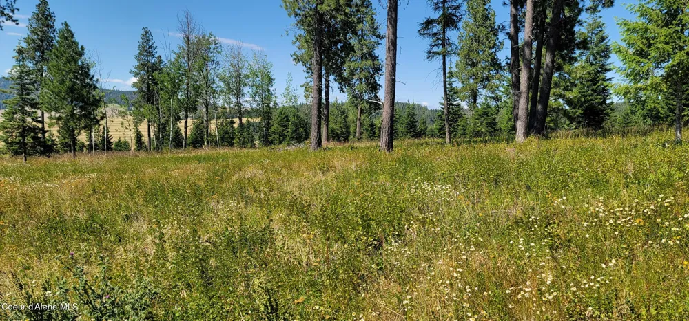 Hwy 95 Lot 6 Plummer, ID 83851