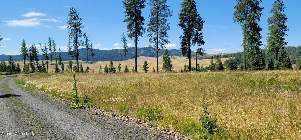 Hwy 95 Lot 6 Plummer, ID 83851