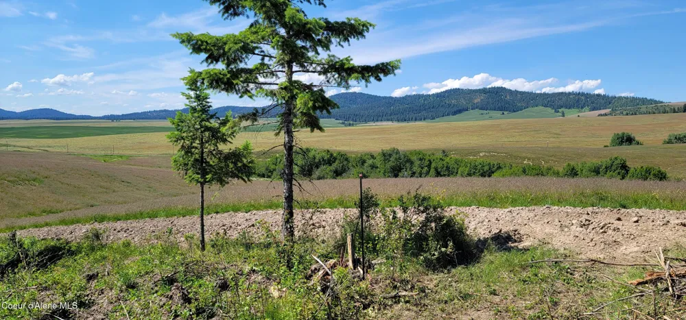Hwy 95 Lot 6 Plummer, ID 83851