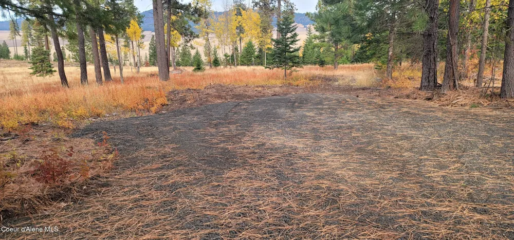 Hwy 95 Lot 6 Plummer, ID 83851