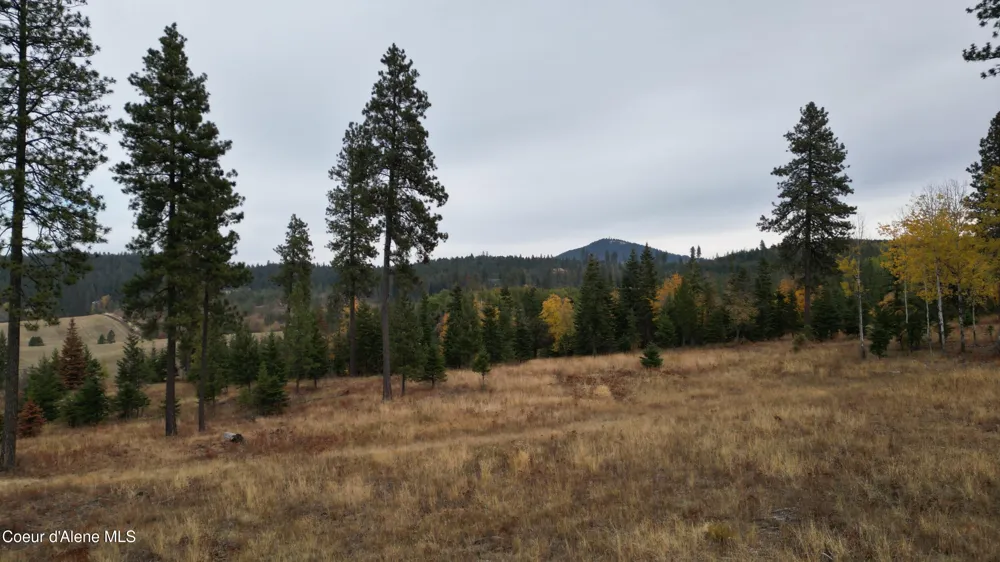 Hwy 95 Lot 6 Plummer, ID 83851