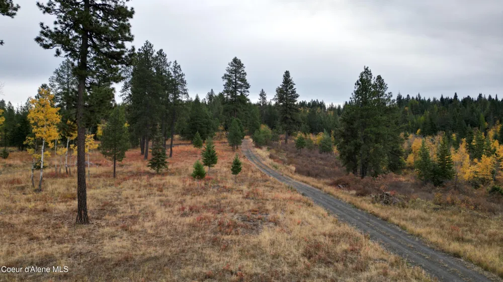 Hwy 95 Lot 6 Plummer, ID 83851