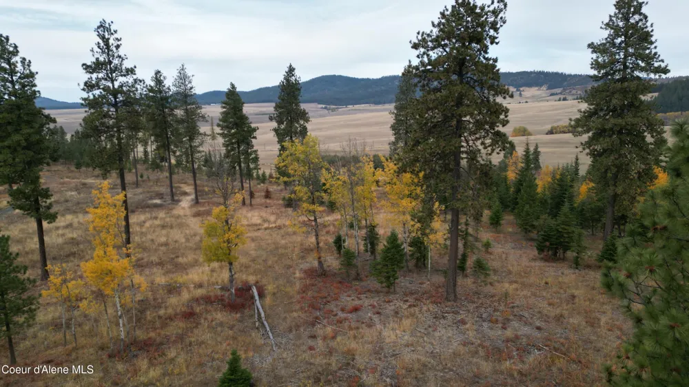 Hwy 95 Lot 6 Plummer, ID 83851