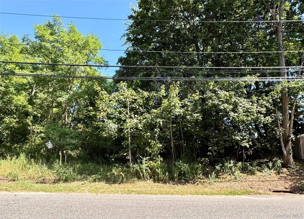 #189,#191 Mount Vernon Avenue Medford, NY 11763