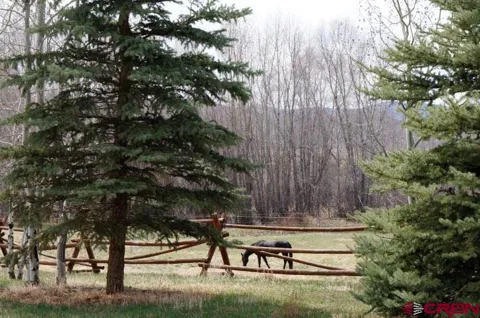 433 Meadow View Trail