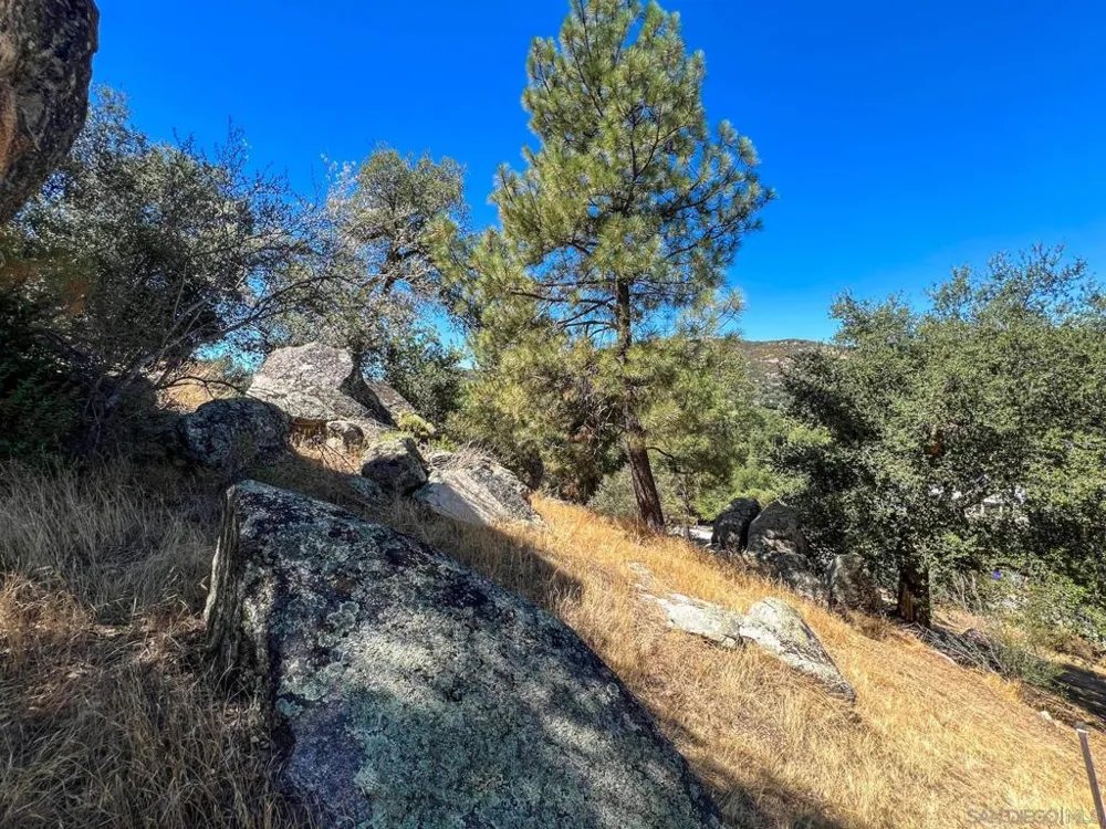 Pine Blvd Pine Valley, CA 91962