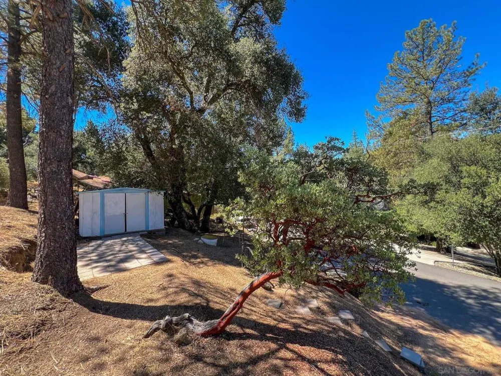 Pine Blvd Pine Valley, CA 91962