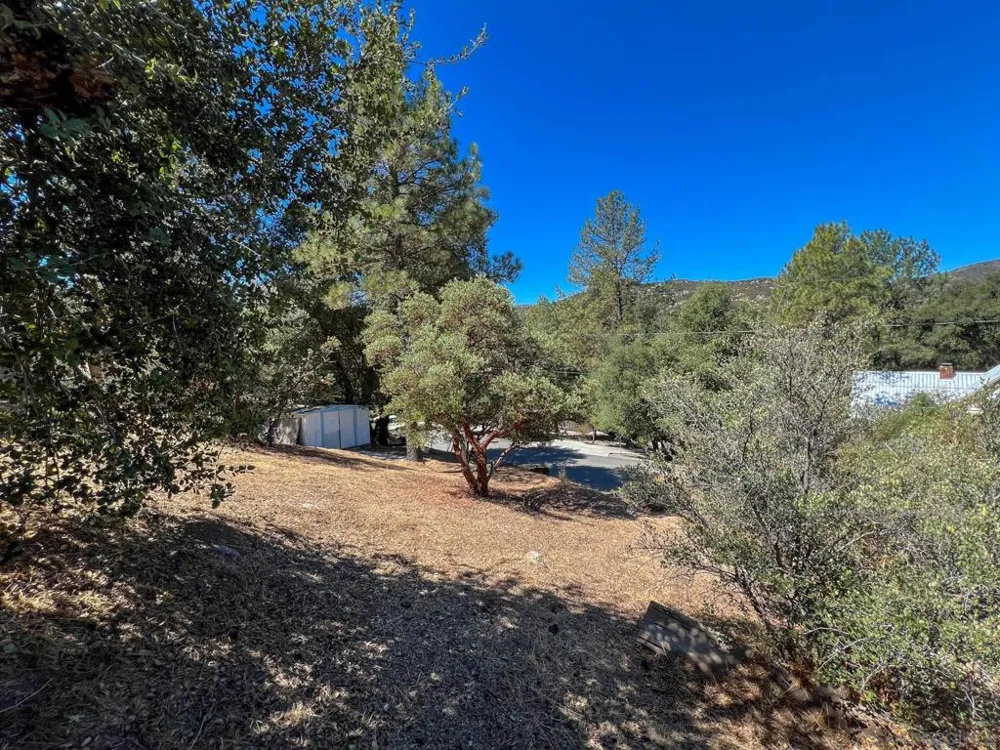 Pine Blvd Pine Valley, CA 91962