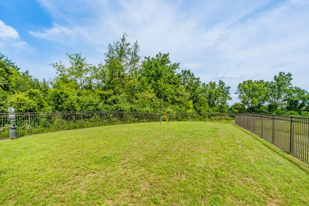 7052 Black Cherry Lane Saline, MI 48176