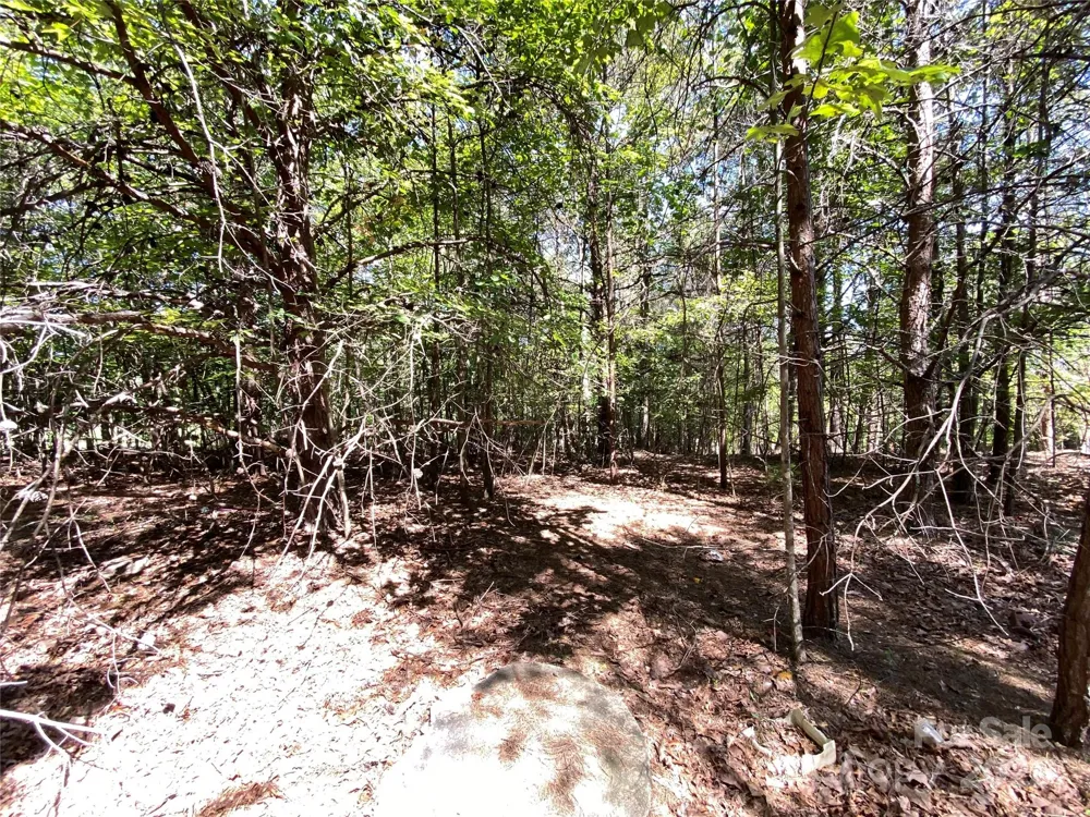 9999 Ridge Way #3 Marion, NC 28752