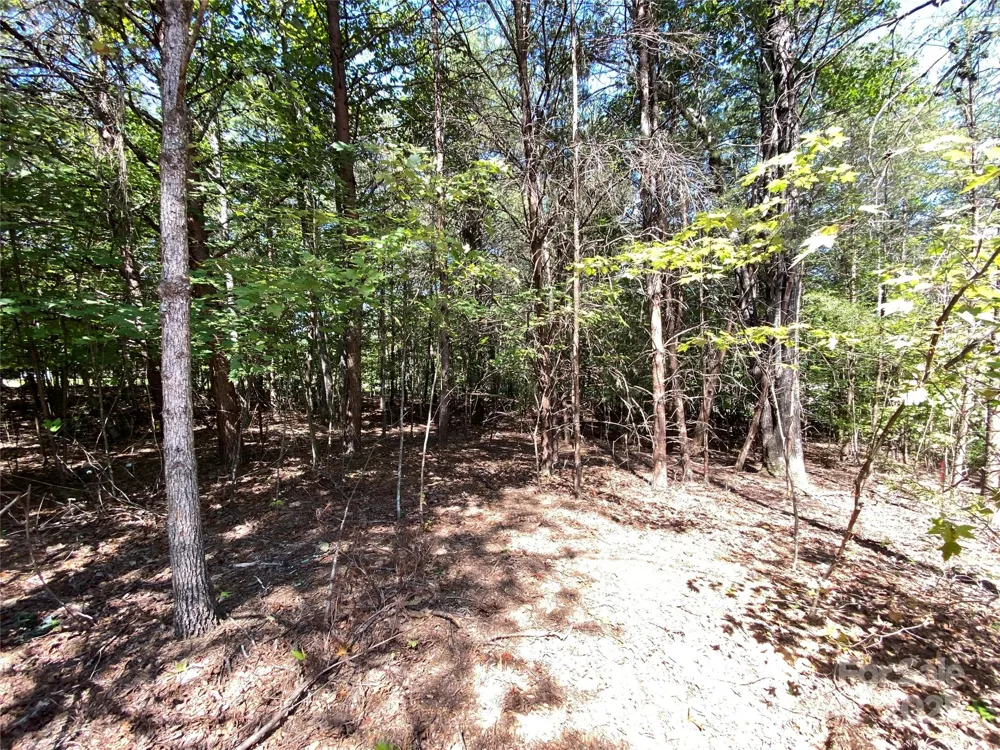 9999 Ridge Way #3 Marion, NC 28752